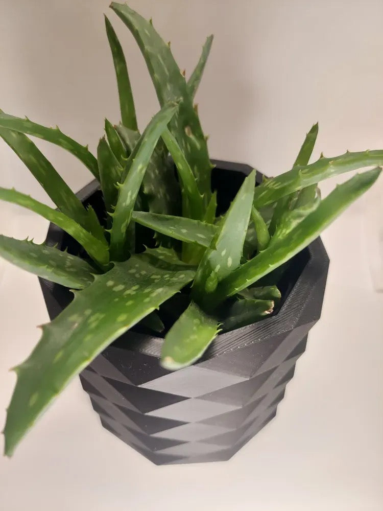 Low Poly Pflanzen Vase