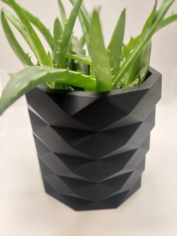 Low Poly Pflanzen Vase